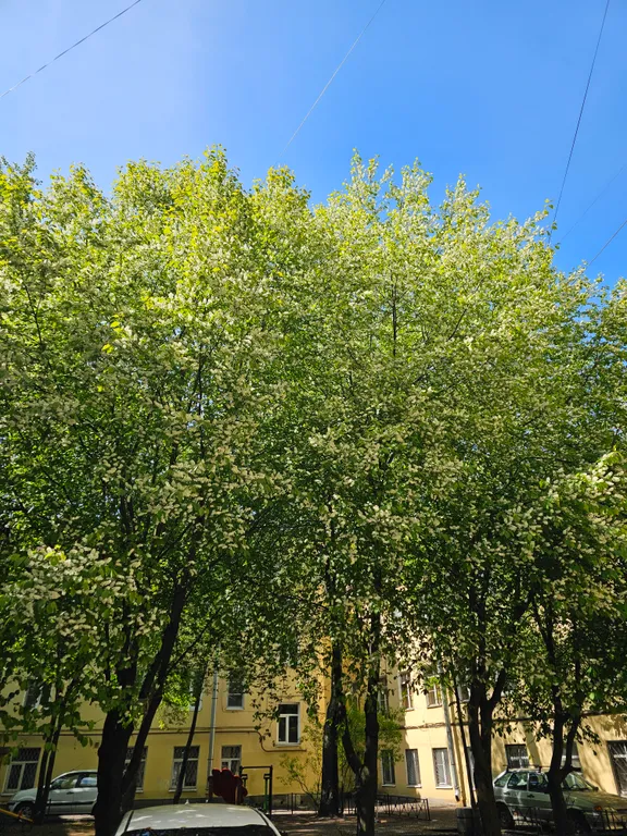 Квартира Квартира Уютная студия — Санкт-Петербург