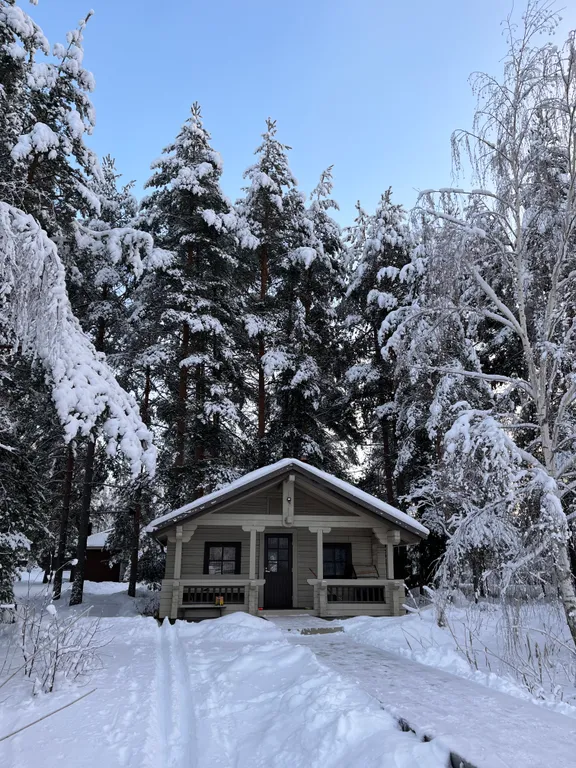 Haavejärvi - озеро мечты! Уютный дом на берегу озера в сосновом лесу