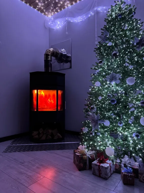 Новый год свободен