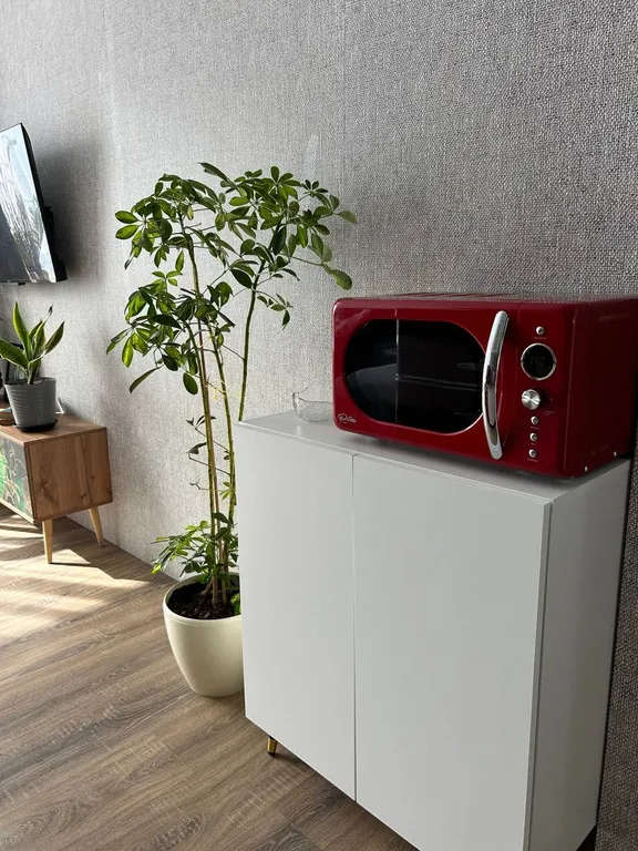 Уютная Арт студия в стиле Лондона 60 годов На границе Нацпарка