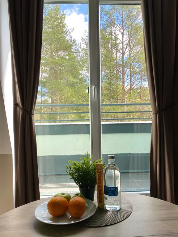 Квартира с террасой у Финского залива