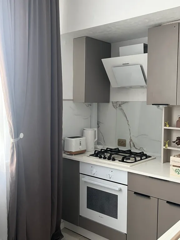 Большая квартира с зонированием и с видом на лес