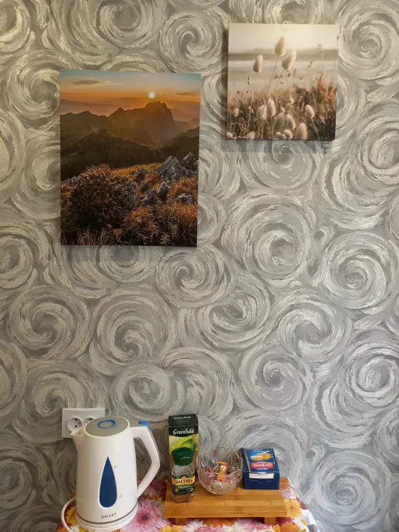 Однокомнатная квартира, 4 спальных места