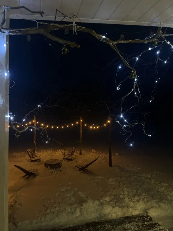 Атмосферный дом у леса