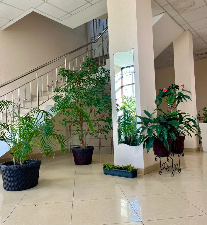 Квартира Квартира-студия в центре Адлера на первой береговой линией — Сочи