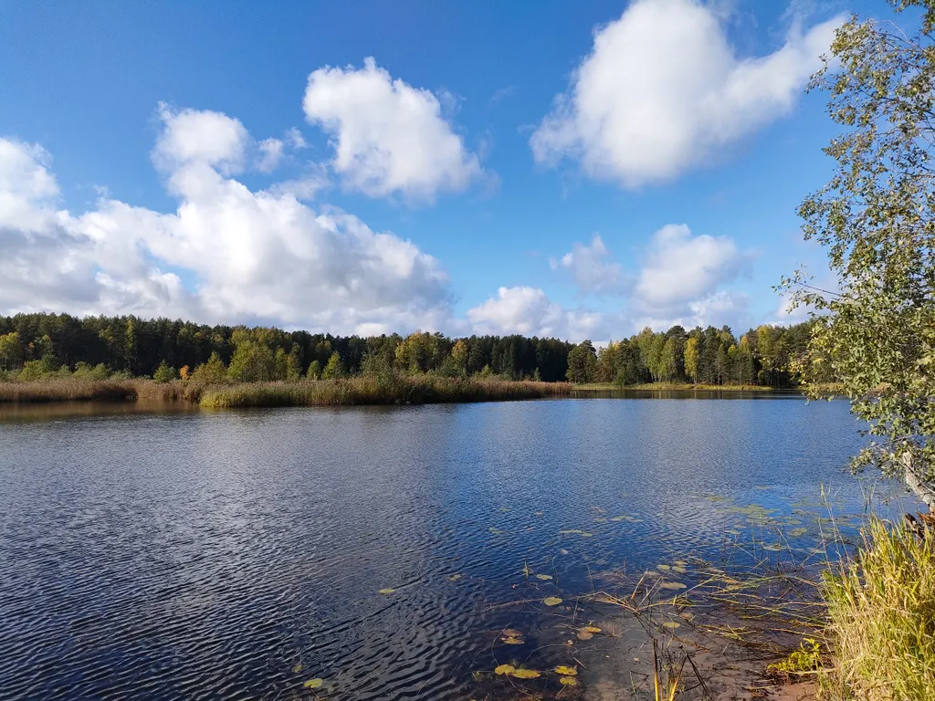 Комфорт в национальном парке
