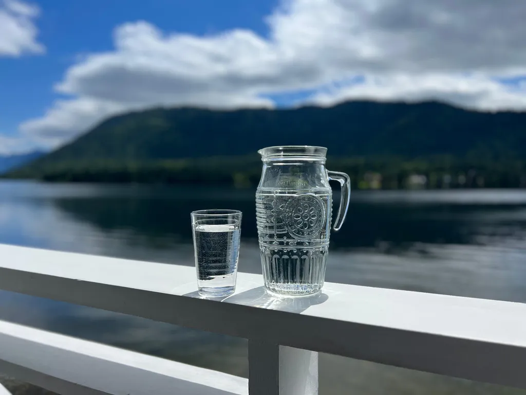 Дом америка на берегу телецкого озера