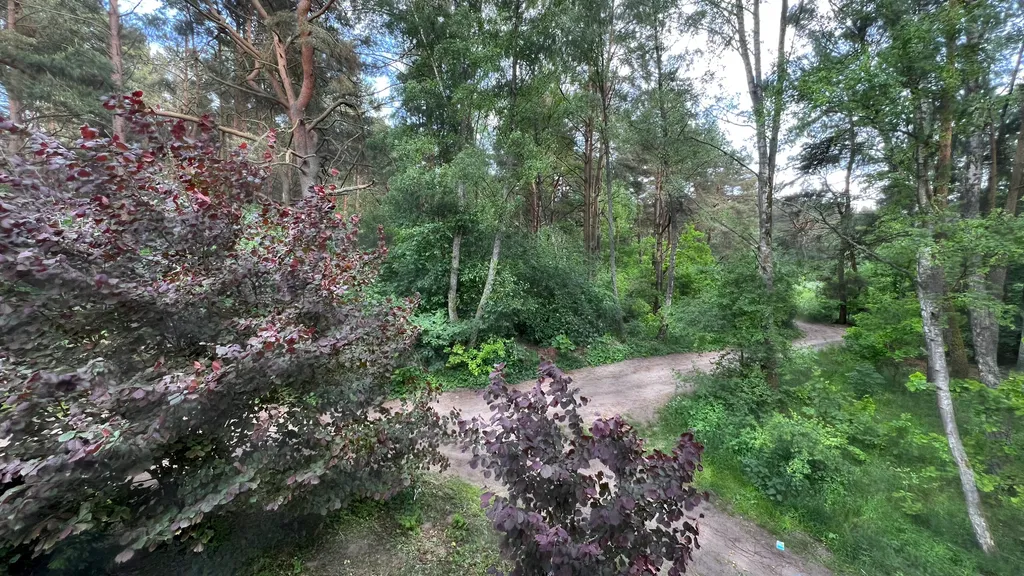 Коттедж Гостевой Дом Ветрово — Сосновка