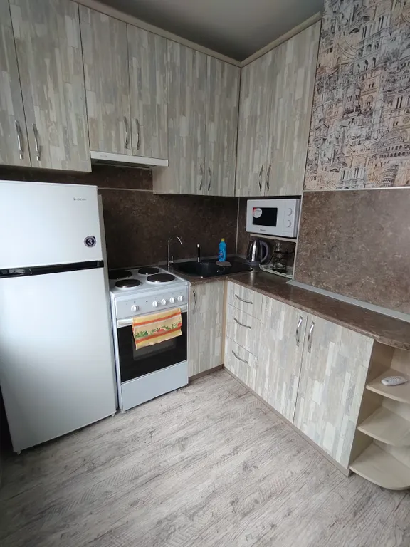 Квартира в Заволжском районе — аренда посуточно в Ульяновск