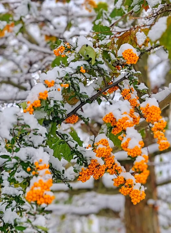 Квартира Новая квартира в историческом районе города Калининграда — Калининград