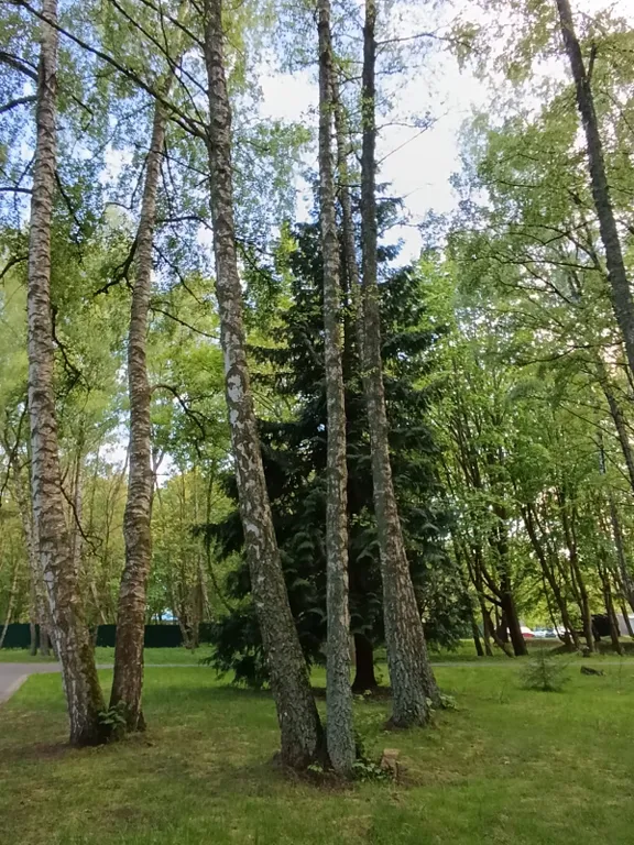 Квартира Квартира Новая уютная студия на море — Светлогорск