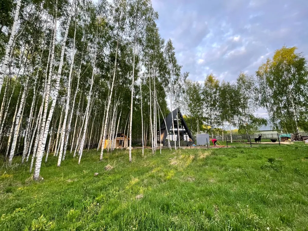 Большое солнечное шале Афрейм с баней и купелью в березовом лесу