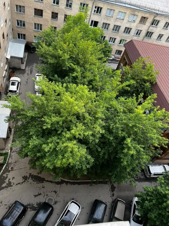 Квартира Квартира Чисто в центре на Площади Ленина — Новосибирск
