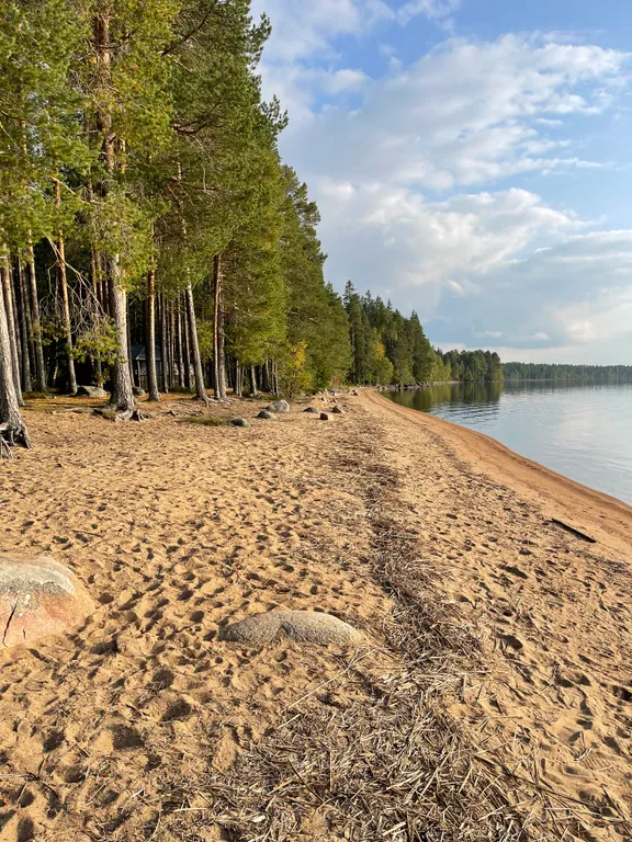 Карельская Дача Уютное шале с камином в сосновом бору, берег Сямозера
