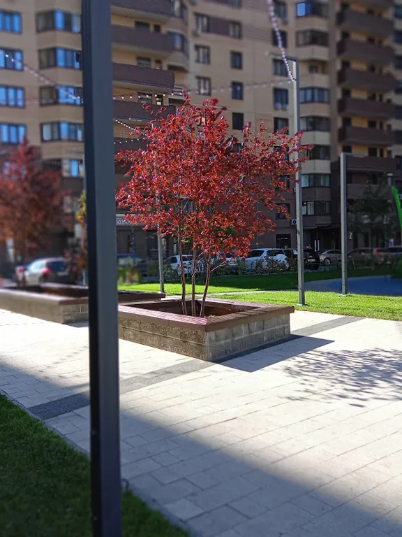 Уютная студия с панорамным видом рядом с СитиМоллом и горячими источниками