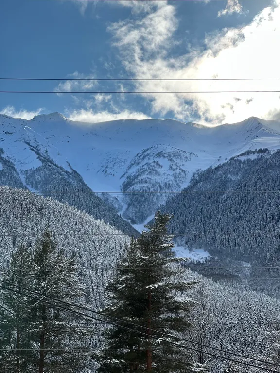 Коттедж Барнхаус III с видом на хвойный лес — Архыз