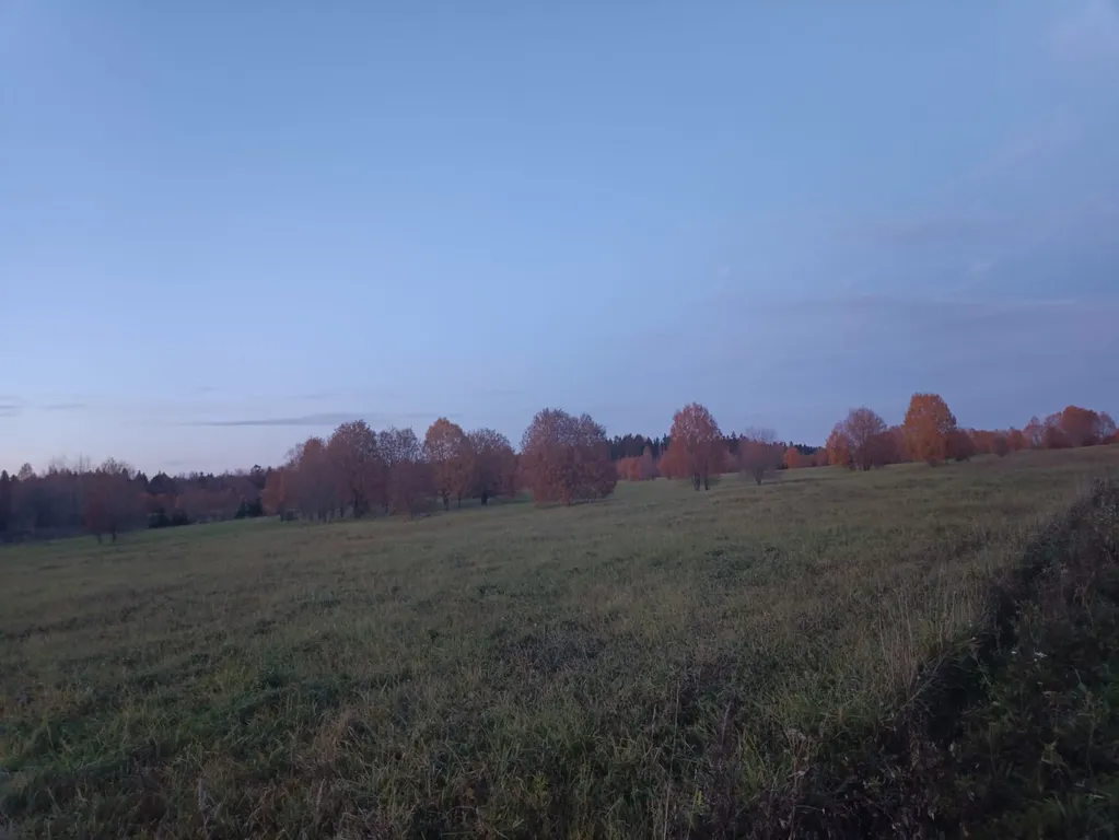 Коттедж Загородный дом с видом на поле и лес — Санкт-Петербург