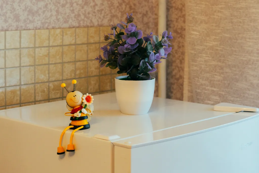 Просторная квартира