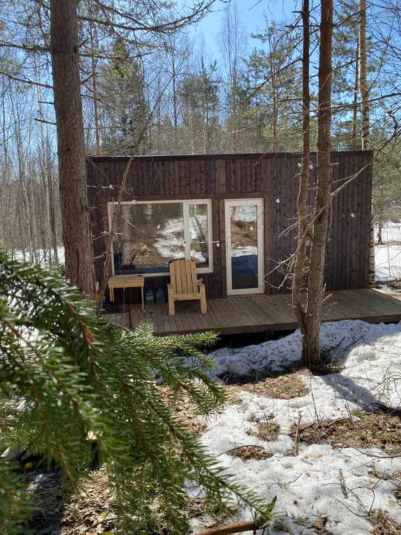 Глемп с видом на лес