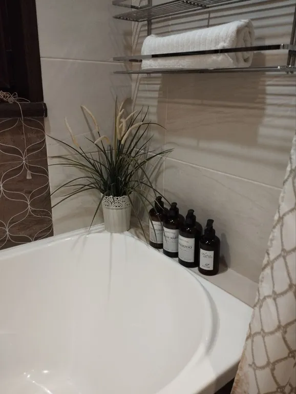 Боровики Хаус дом с камином