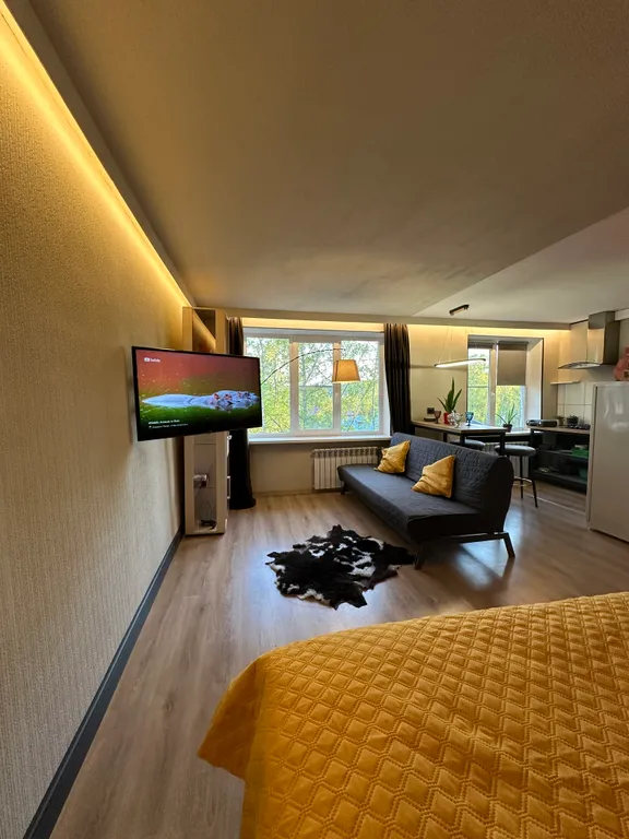 Современная студия с видом на гору в 2х минутах от Онежского озера