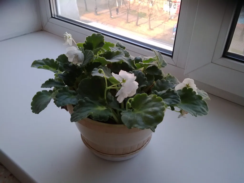 Уютная чистая квартира в центре рядом с прудами