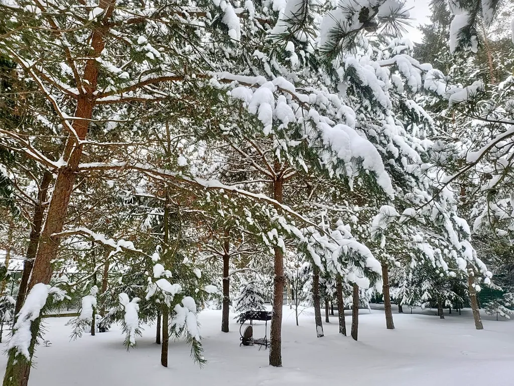 Уютный дом в лесу на 3 семьи