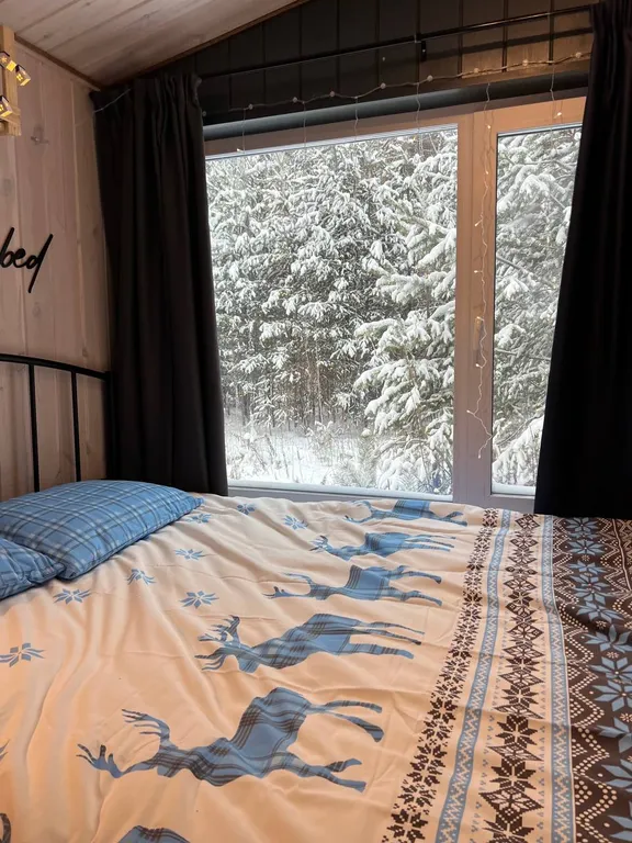 Светлый домик на опушке леса