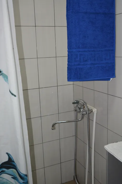 Апартаменты для троих с кухней