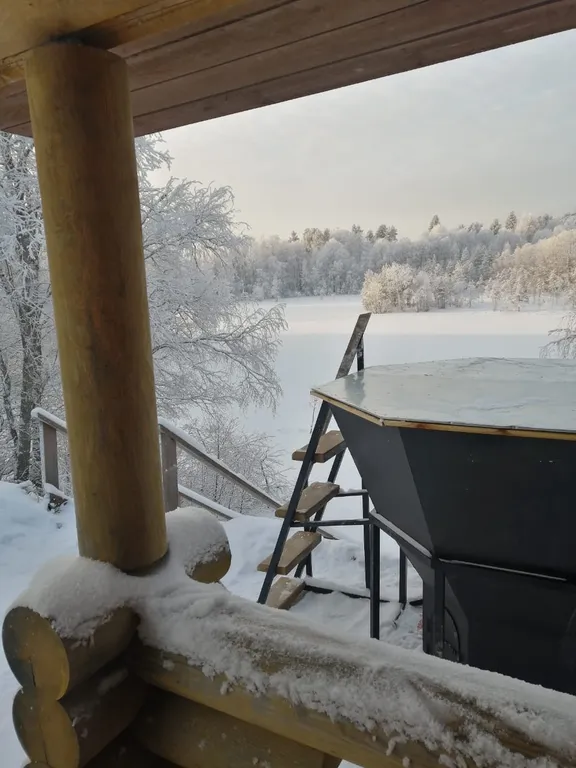 Деревянный дом с камином, баней и чаном на берегу Меличуярви у леса