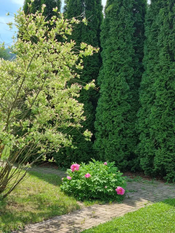 Экодом на берегу Москвы-реки