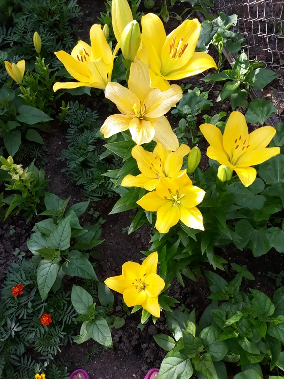 Коттедж Небольшой летний домик — Ейск