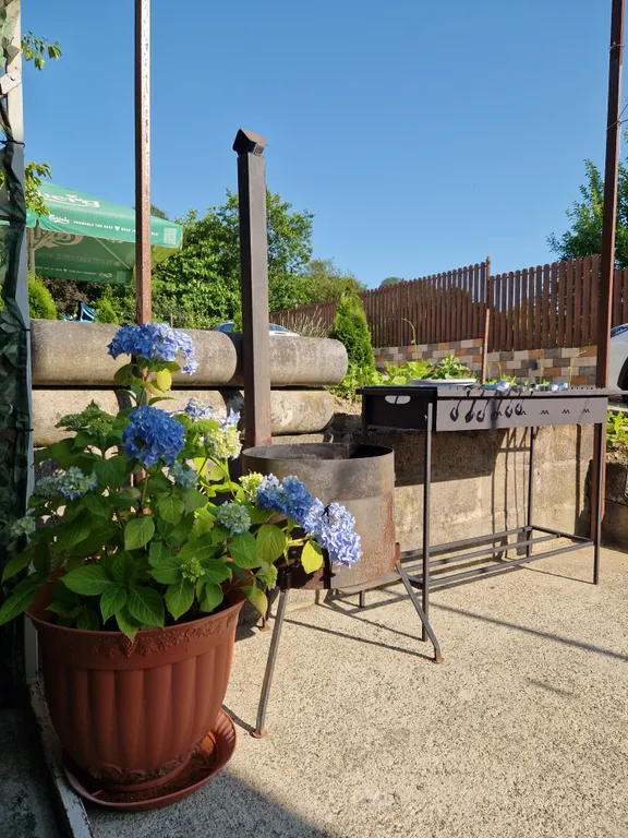 Коттедж Уютный дом — Сочи