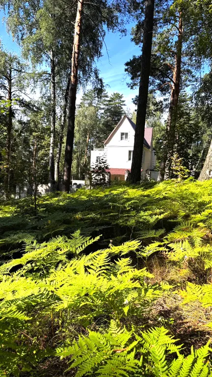 Уютный гостевой дом Лесная Сказка на территории заповедника