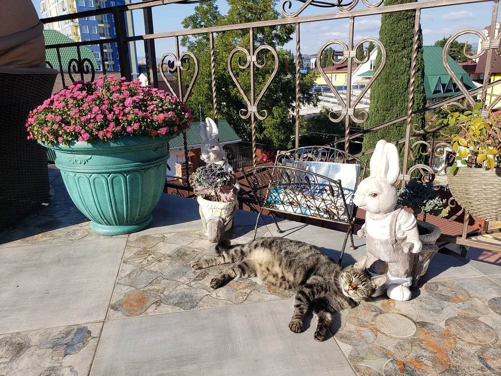 Квартира Квартира 1-ая студия 15кв.м — Адлер