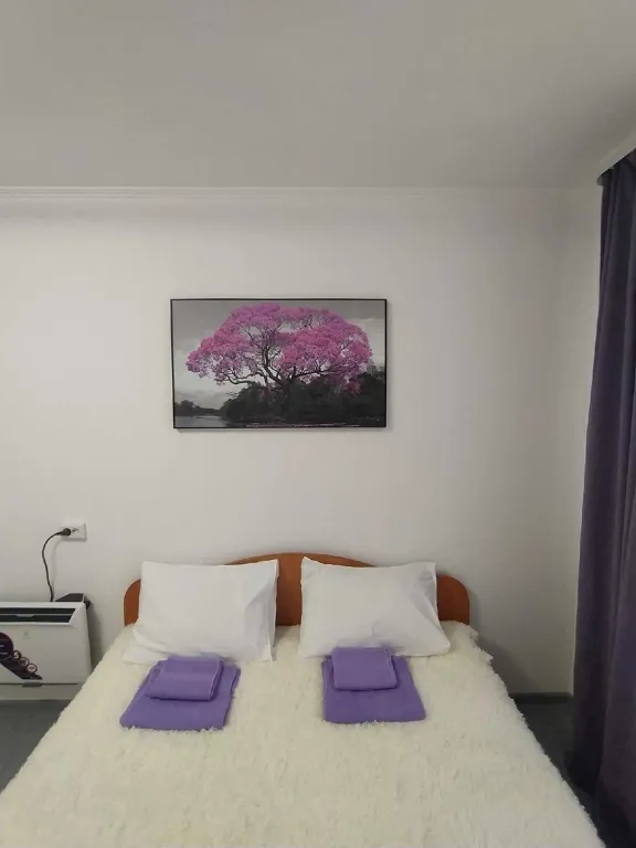 Одна из четырех в квартире мини- студия Виолет