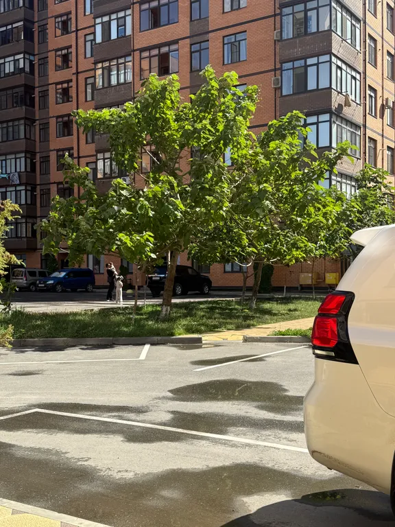 Современная квартира на первой береговой линии