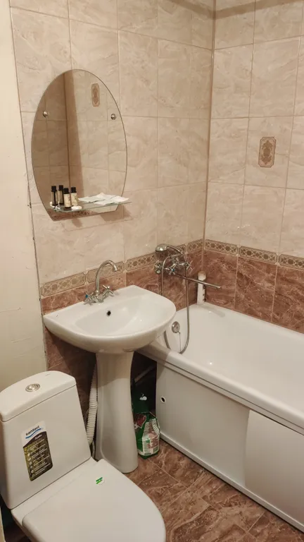 С Толстым у парка