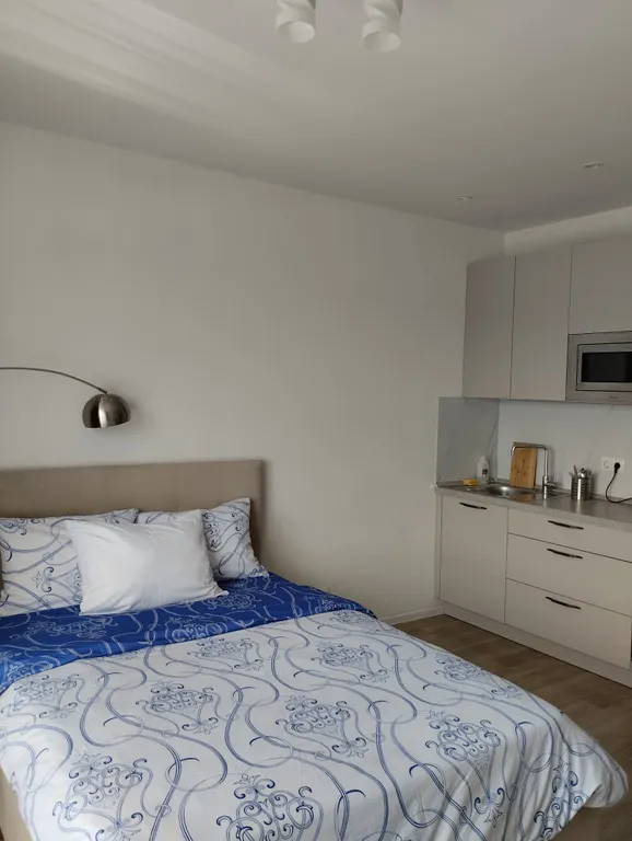 Апартамент с видом на парк