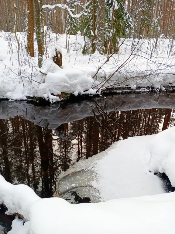 Коттедж 2-комнатный Дом — Мичуринское