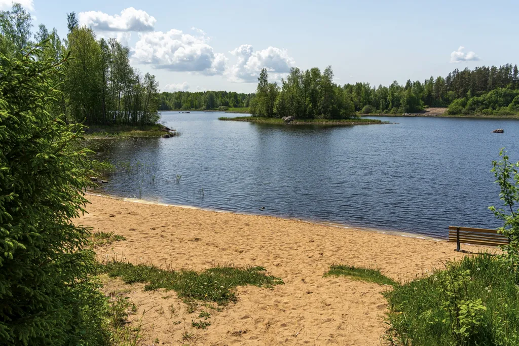 Дом с видом на лес