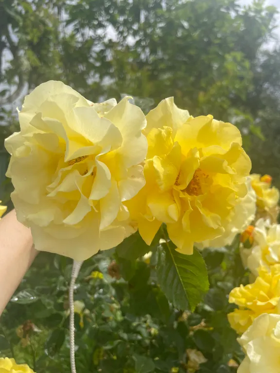 Дом среди гор