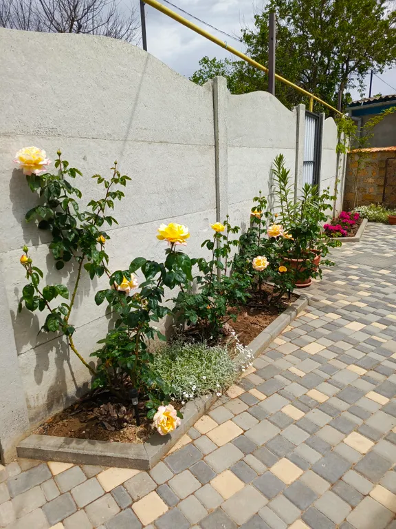 Квартира 2-комнатная Квартира — Евпатория