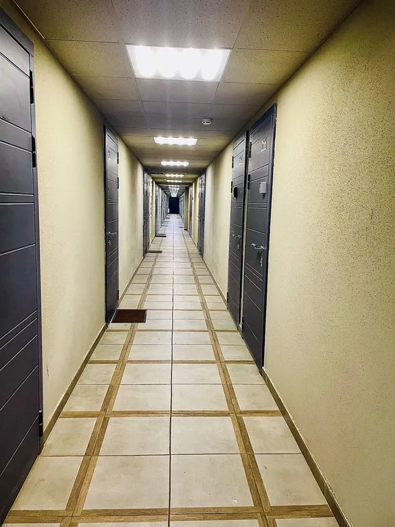 Комфортная студия в сосновом бору