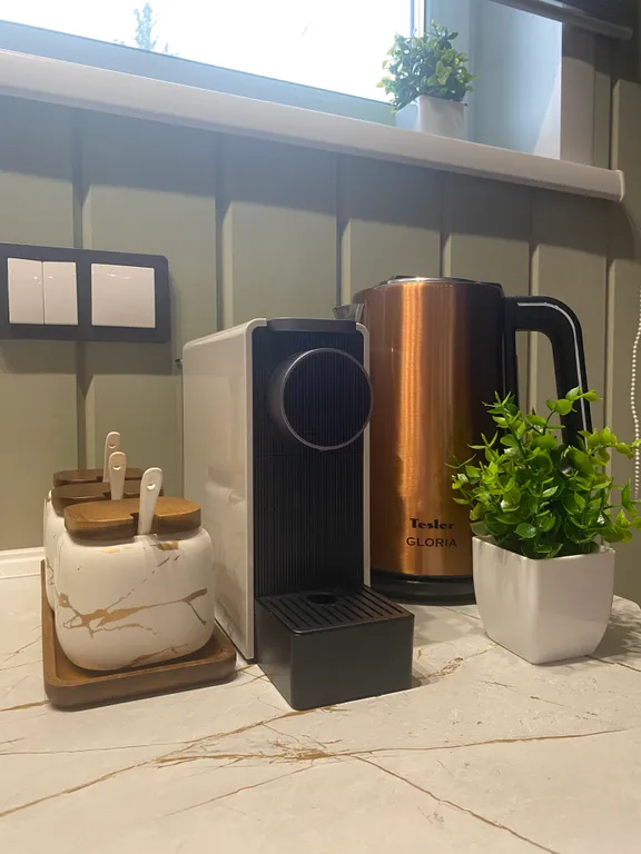 Дом с видом на лес