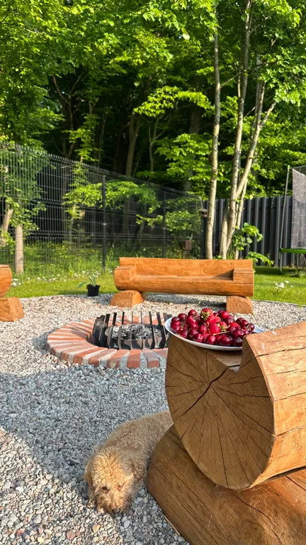 Дом в лесу с баней и бассейном