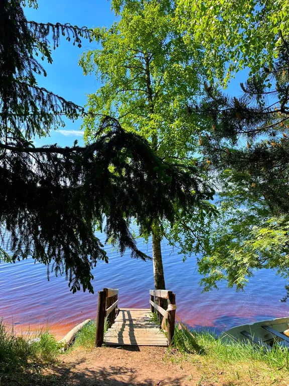 Коттедж в 100 метрах от озера