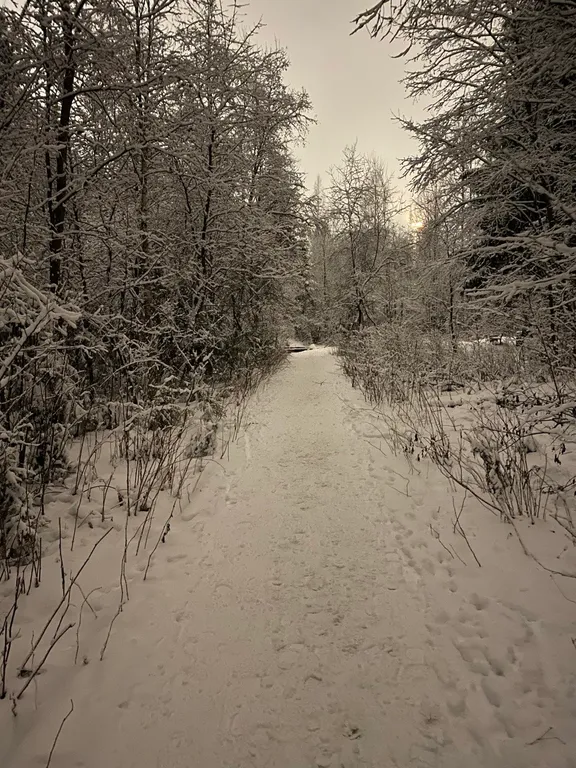 Квартира в Городе Солнца c видом на лес