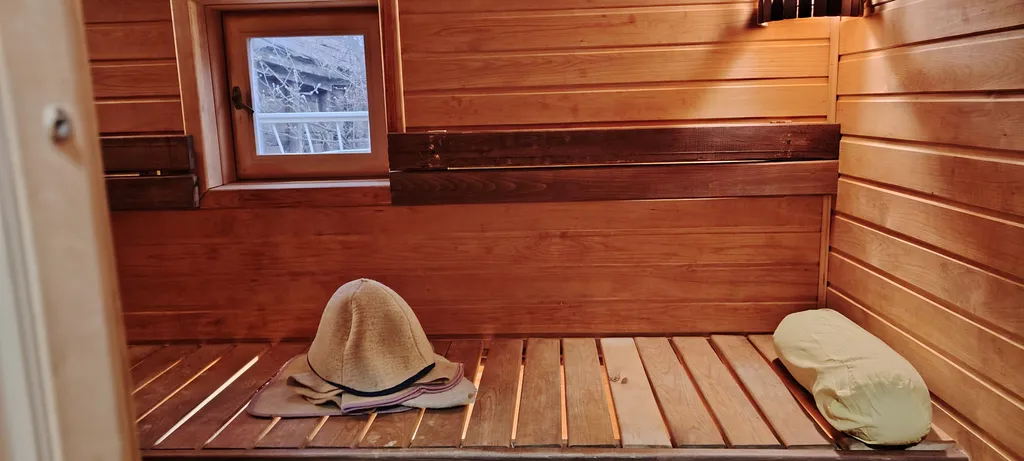 Дом-баня Сорока