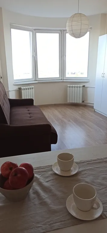 Евродвушка с шикарным видом на парк и Москва Сити